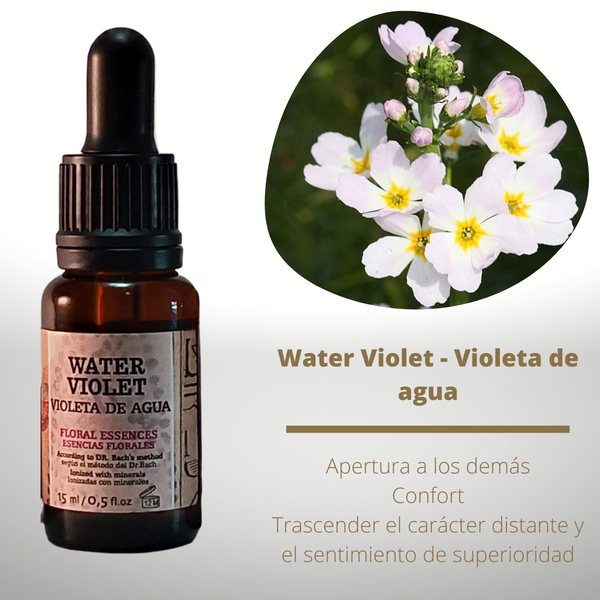 Esencia floral de Water Violet (Violeta de agua)
