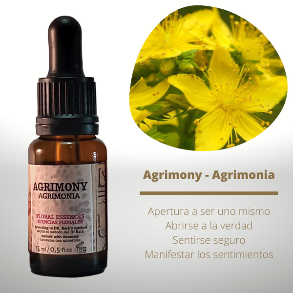 Agrimony - Agrimonia | Anxiety