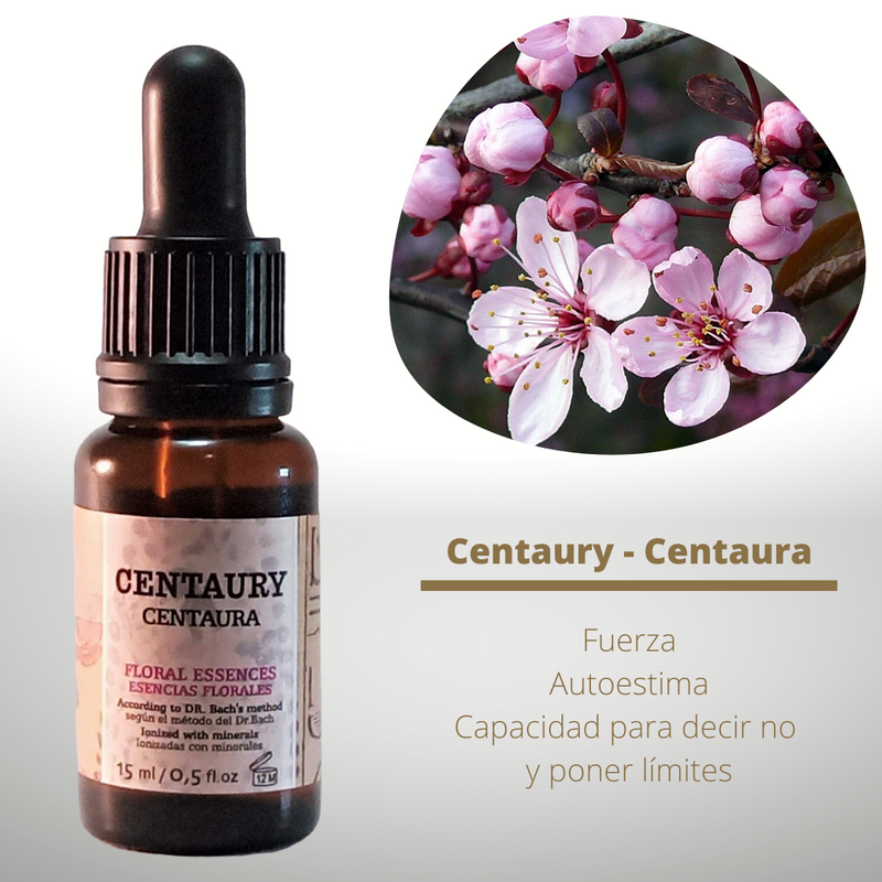 Esencia floral de Centaury (Centaura)