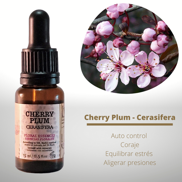 Esencia floral de Cherry Plum (Cerasífera)