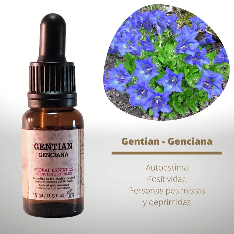 Esencia floral de Gentian (Genciana)