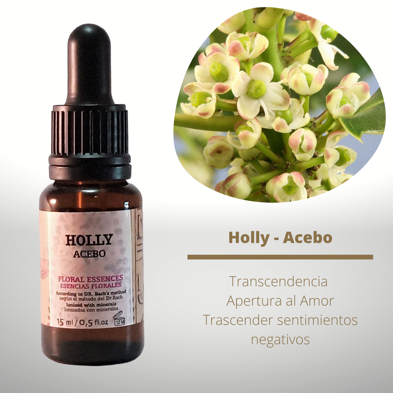 Esencia floral de Holly (Acebo)