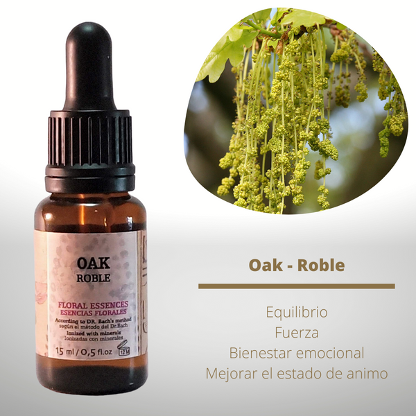 Esencia floral de Oak (Roble)