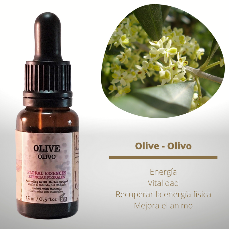 Esencia floral de Olive (Olivo)