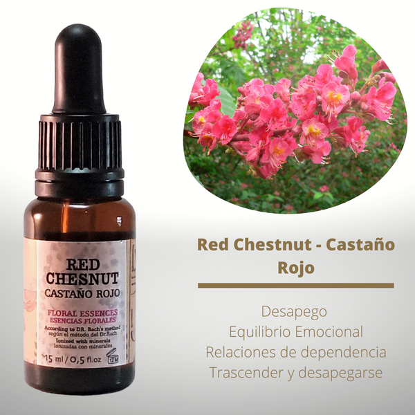 Esencia floral de Red Chestnut (Castaño Rojo)