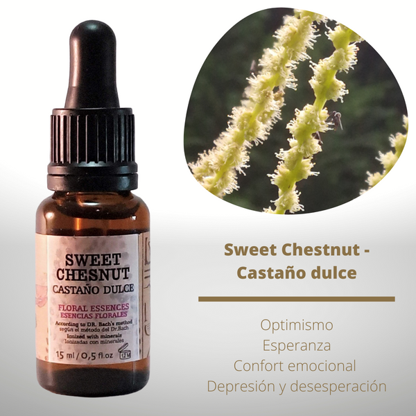 Esencia floral de Sweet Chestnut (Castaño dulce)