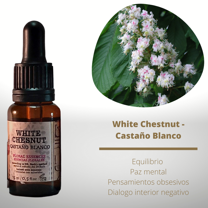 Esencia floral de White Chestnut (Castaño Blanco)