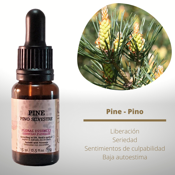 Esencia floral de Pine (Pino)